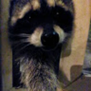 Meet your Posher, Destiny